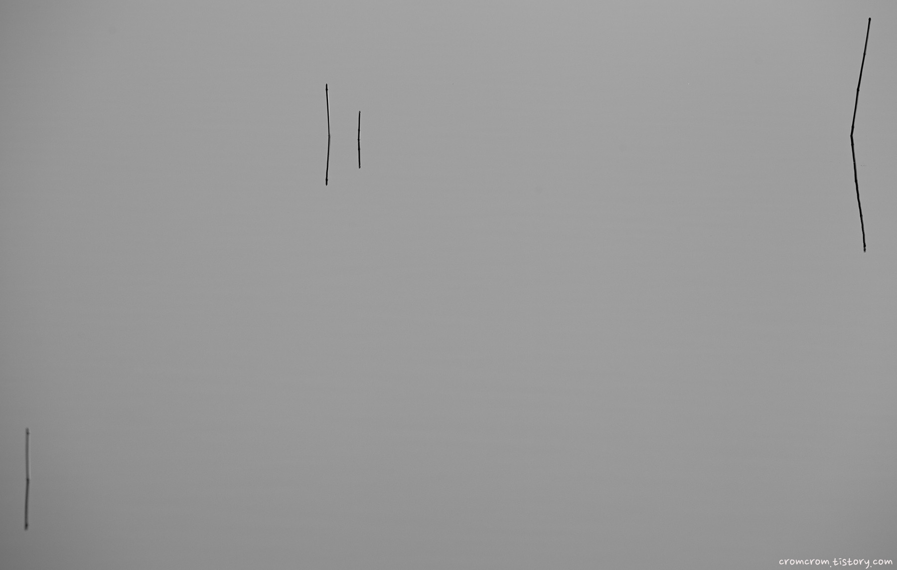 9980A8475BA8ECA41B.jpg
