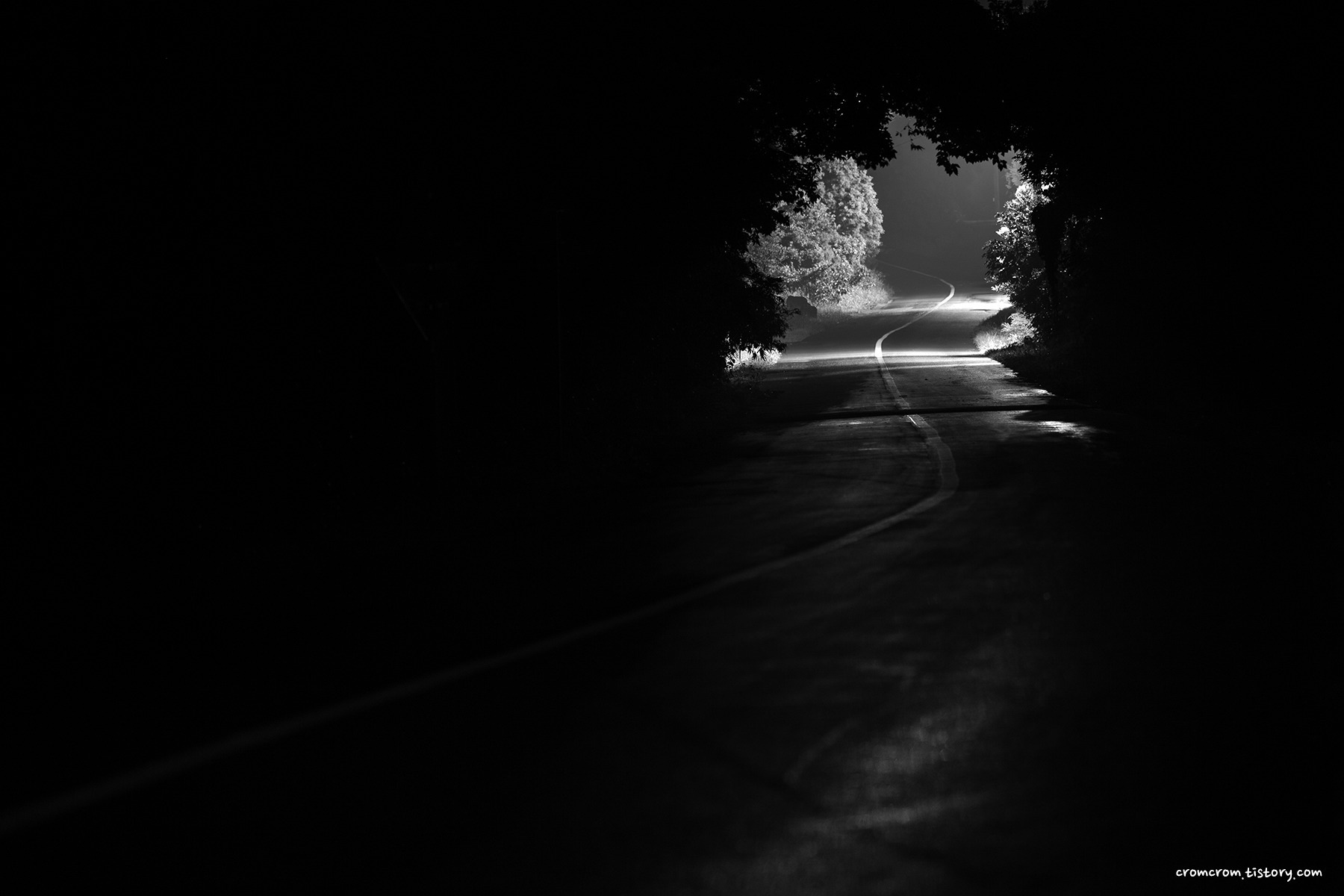 99A60B495BA8EC9D1F.jpg