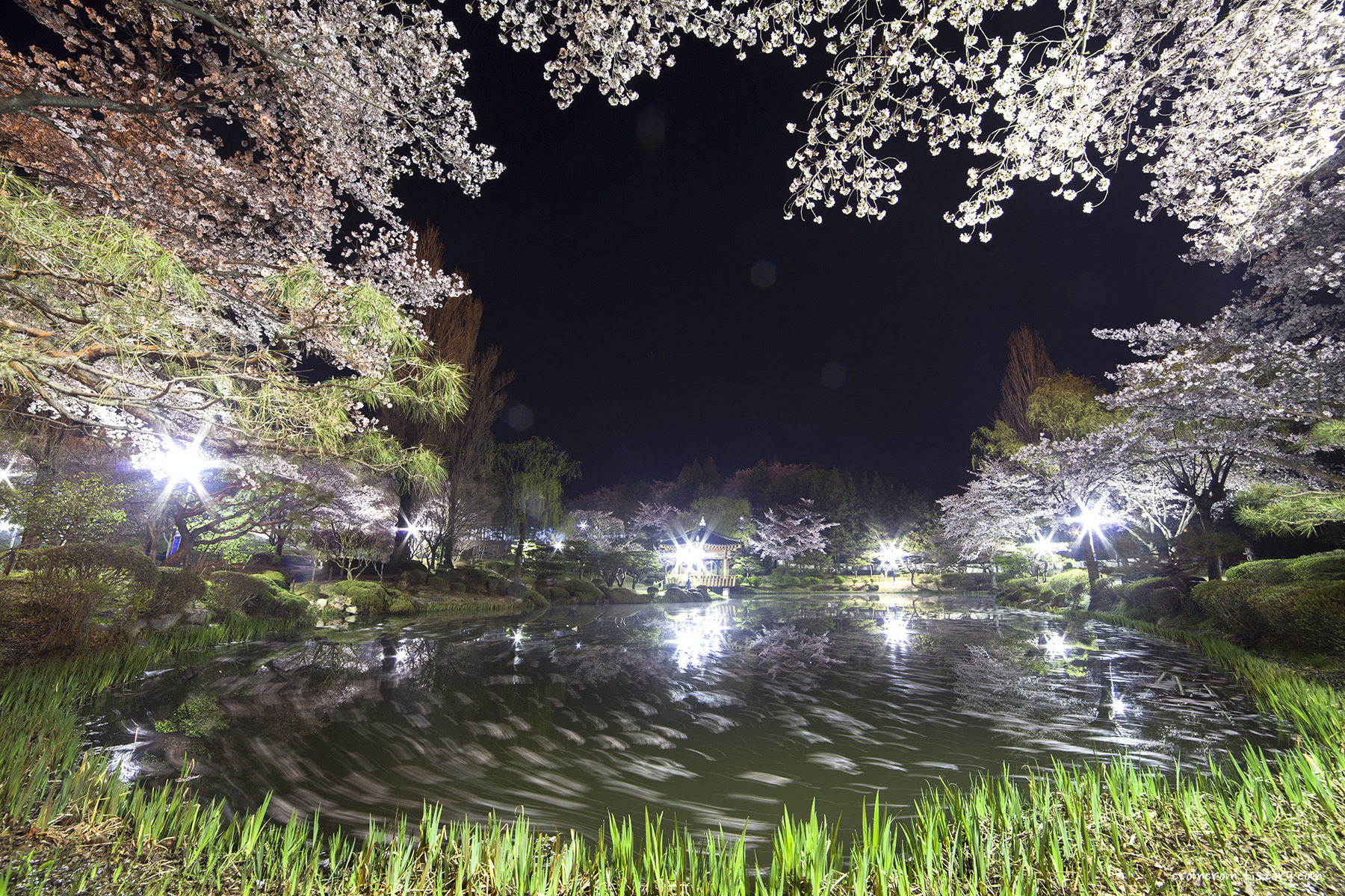 99D5604D5BA8ECA612.jpg