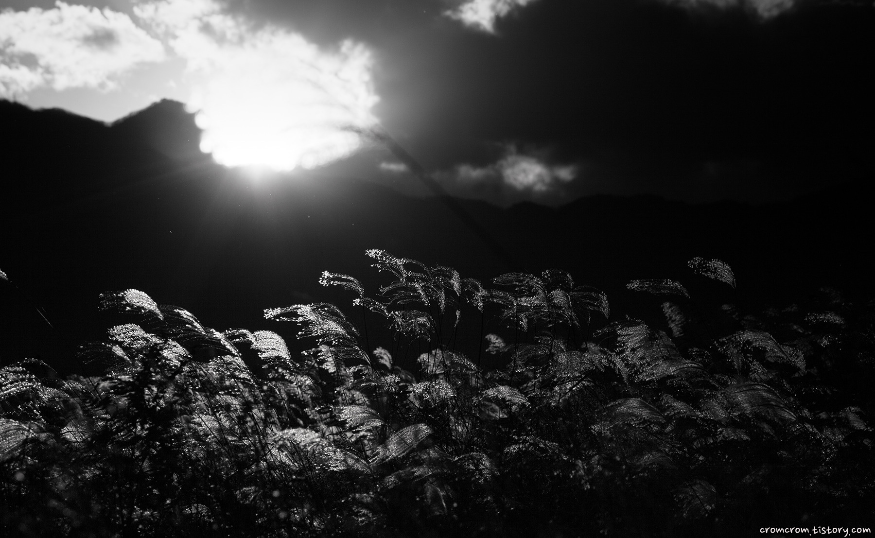 99D9374C5BA8ECA101.jpg