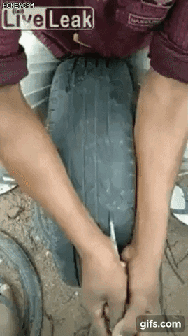 giphyda0d7b6f6249fccc.gif