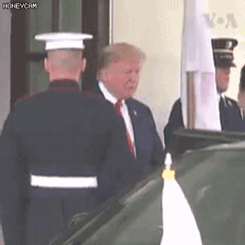 aed41251fa13af0ca9b6ae2f5872bb9c.gif