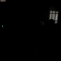 4.gif