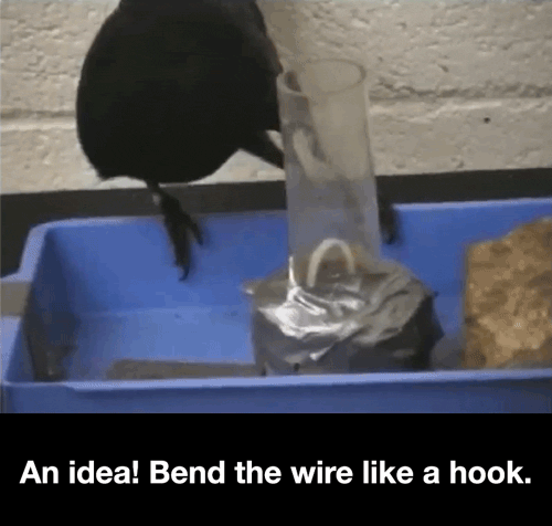 20190407203637_6af67e082a455189f25a3e59546b2d99_430n.gif