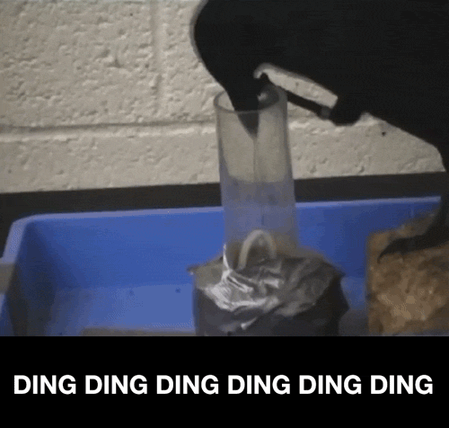 20190407203730_6af67e082a455189f25a3e59546b2d99_rk6p.gif