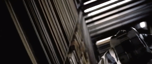 6.gif