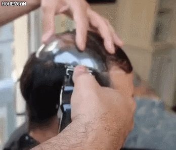 downloadfile-55.gif