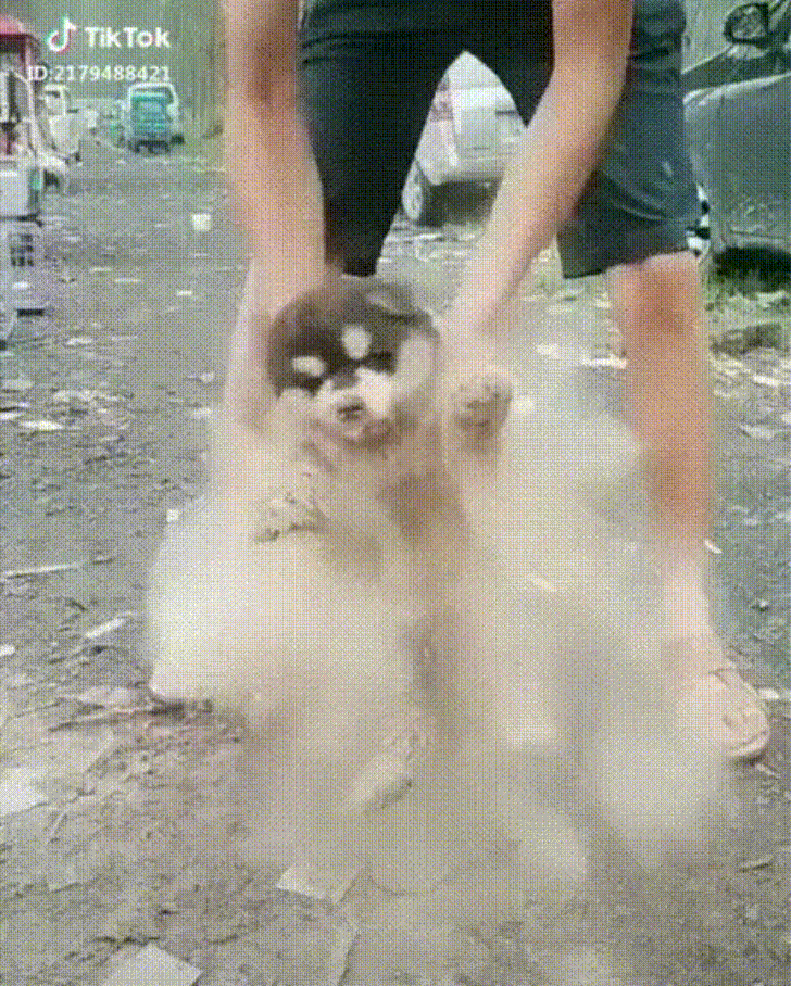 1161b956529b9e169d5b54df01d7fda4.gif