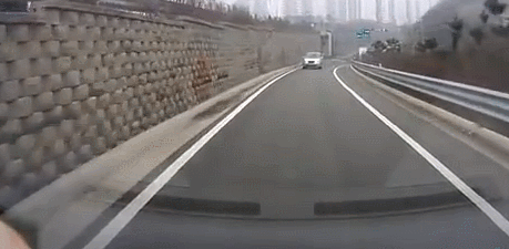1535168257.gif