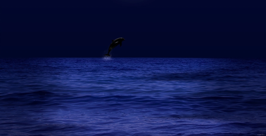 night_sea_by_andrei120-d4pl7v5.jpg
