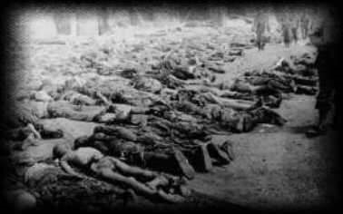 Holocaust%20Mass%20Graves%20Picture.gif