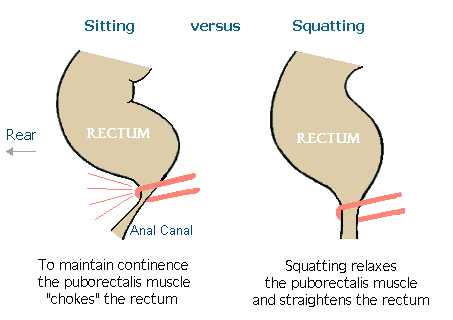 squatting-1.gif