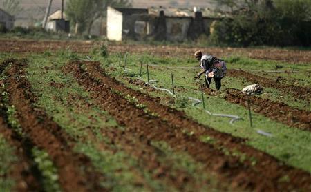 south-african-farm-worker.jpg