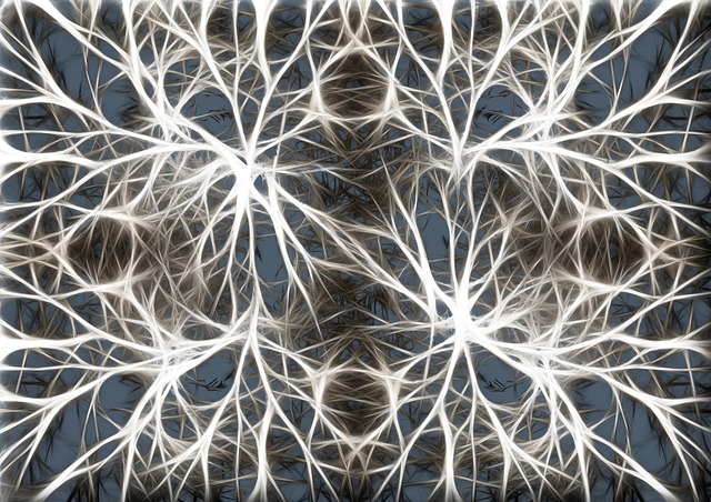 neurons-582054_640.jpg