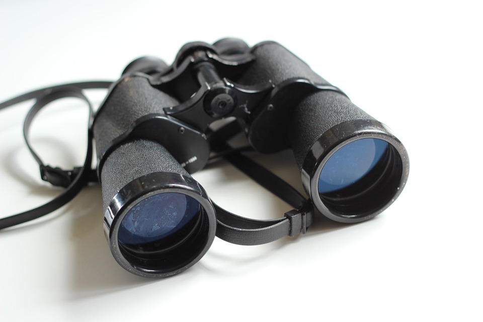 binoculars-354623_960_720.jpg