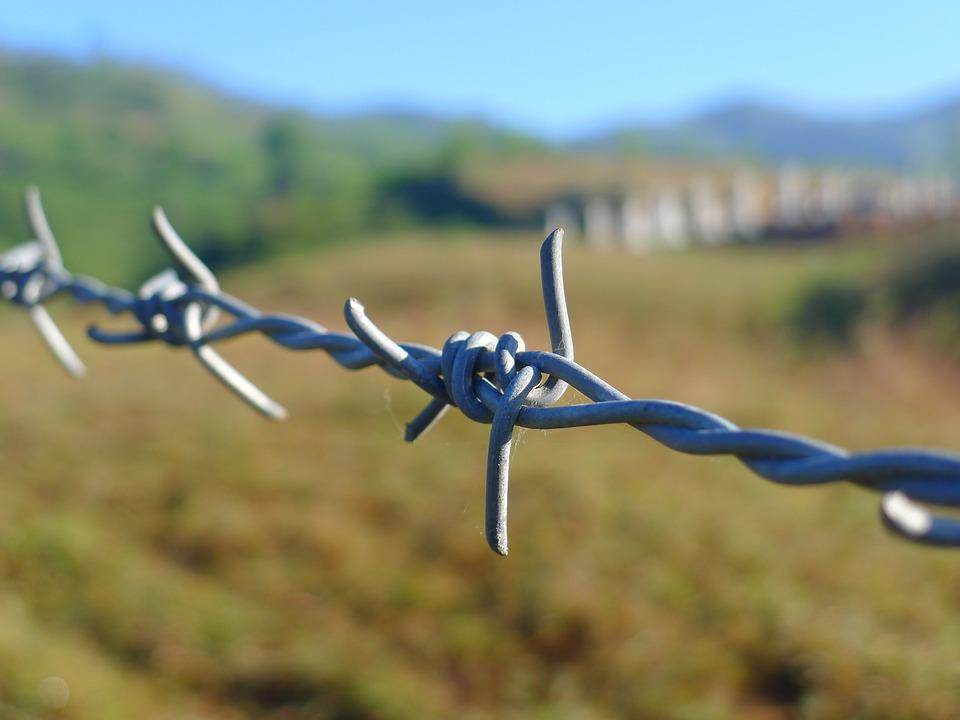 barbed-wire-114500_960_720.jpg