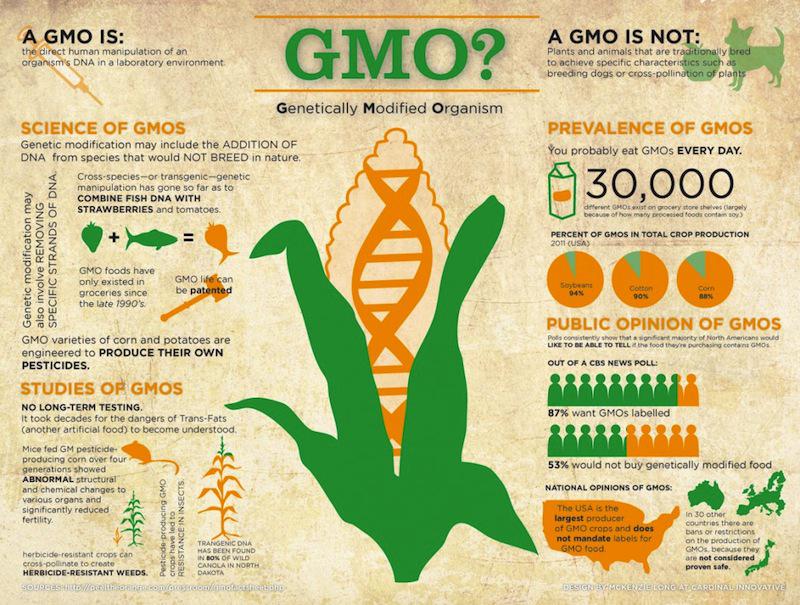 What-is-a-GMO.jpg