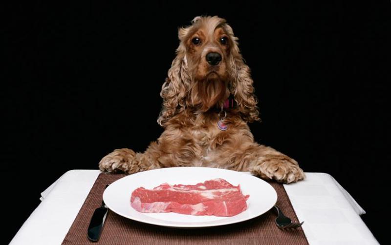 90287-850x533-Steak-dinner.jpg