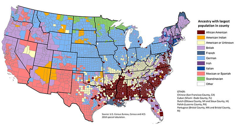 census-data-ethnicity-2010.jpg