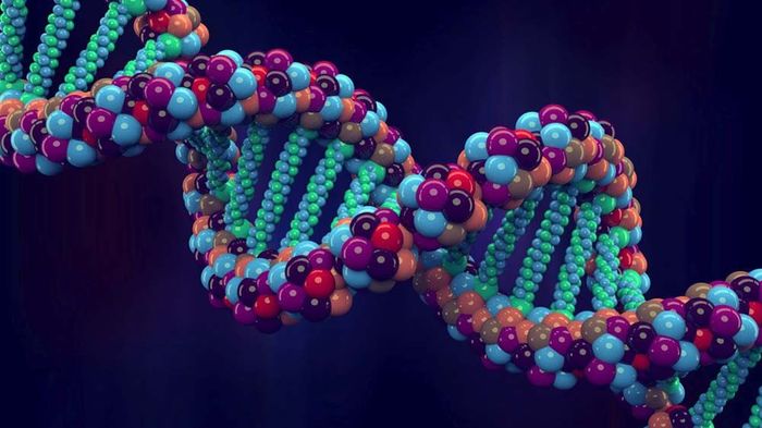 Genome-Project–Write-scientists-create-synthetic-human-genomes.jpg