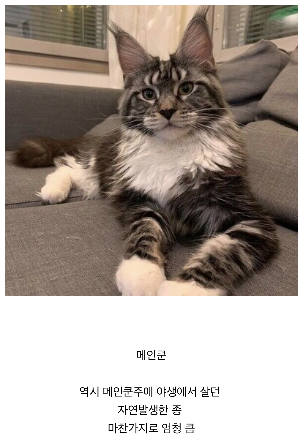 이미지를 불러오는데 실패했습니다.
