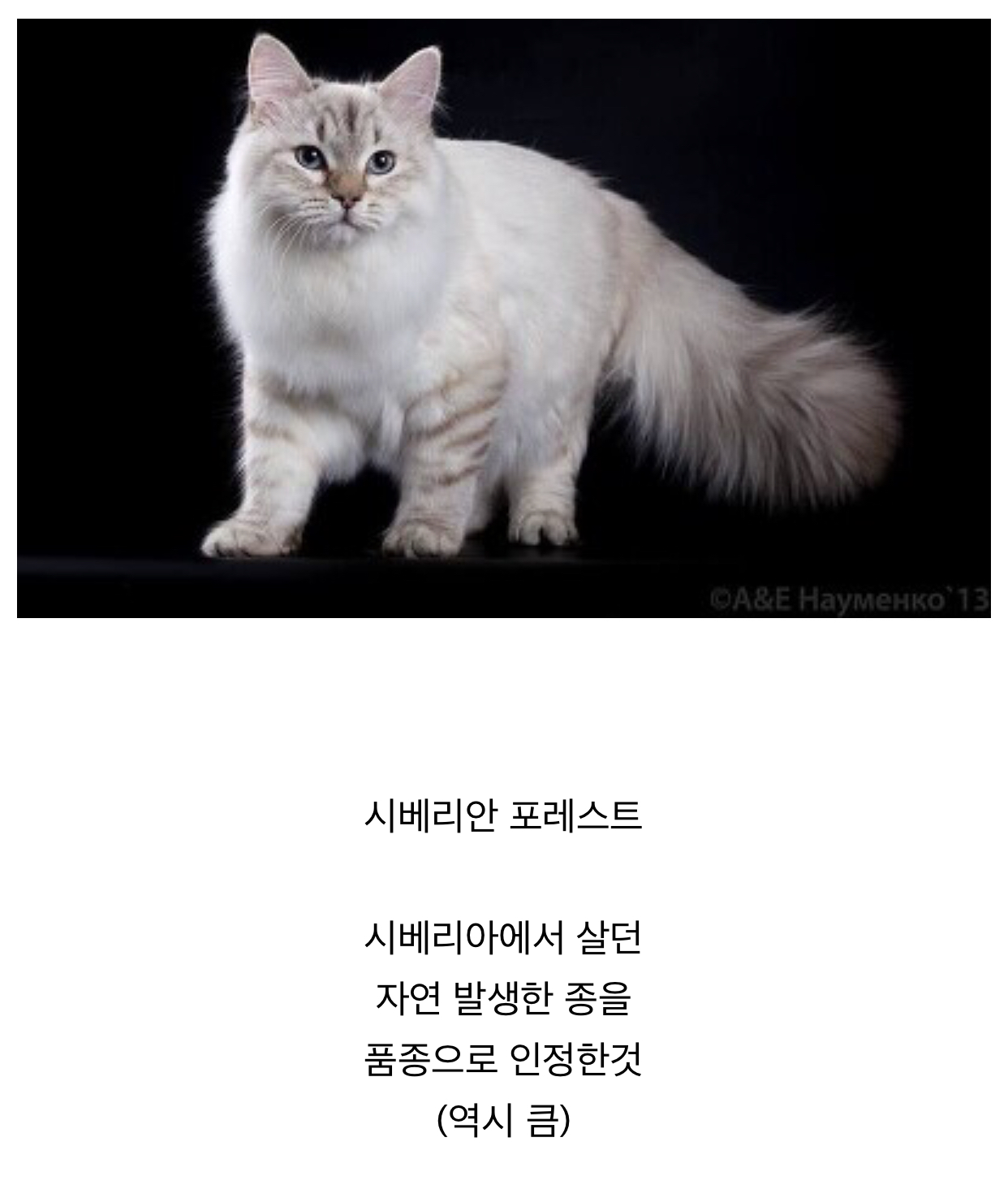 이미지를 불러오는데 실패했습니다.