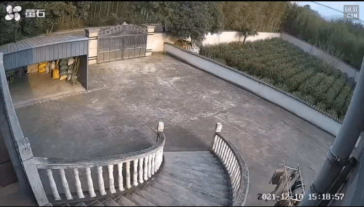 gifsf.com-0003.gif