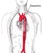 Picture1.jpg