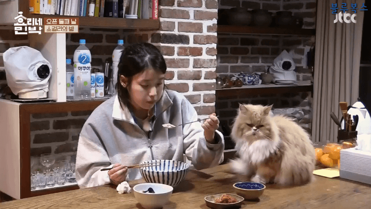 이미지를 불러오는데 실패했습니다.