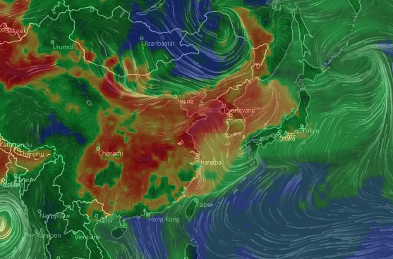 스크린샷 2021-05-24 오후 5.58.25.png