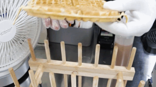 4.gif