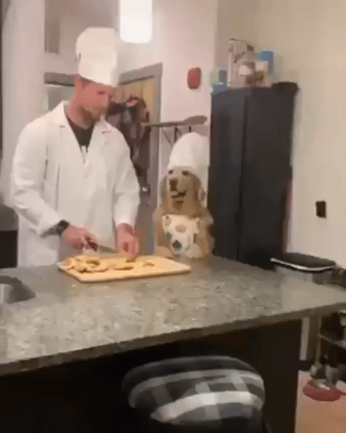 rllaajd.gif