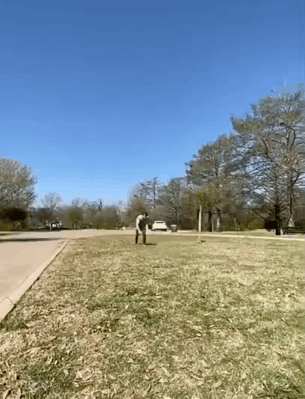 E7500F72-F26A-4DEB-B2E5-F4C2684B3D05.gif