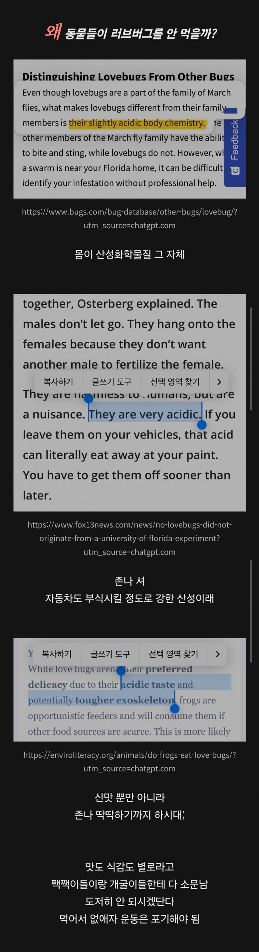 러브버그.jpg