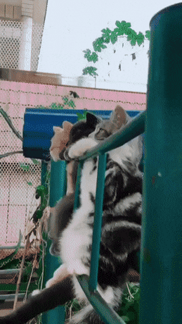 1552965302503.gif