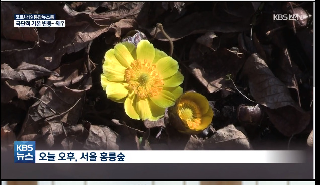 이미지를 불러오는데 실패했습니다.