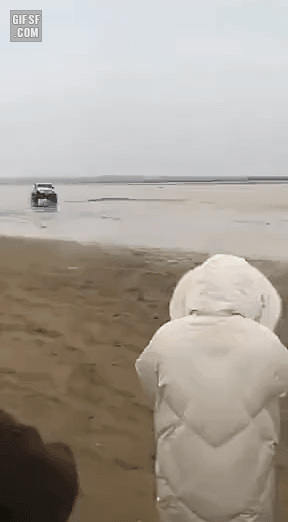 hold1614224966_1323842128.gif