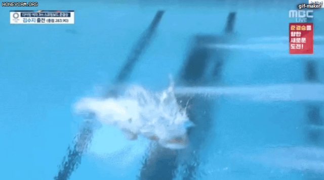 44466816279886190.gif