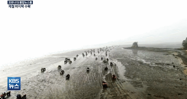DwoW1617084627_607265087.gif