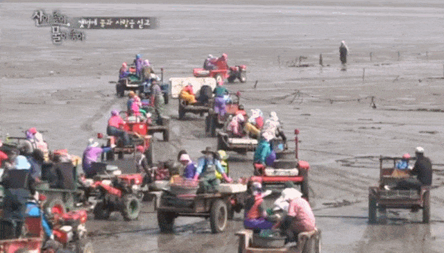 DwoW1617084622_1616451341.gif