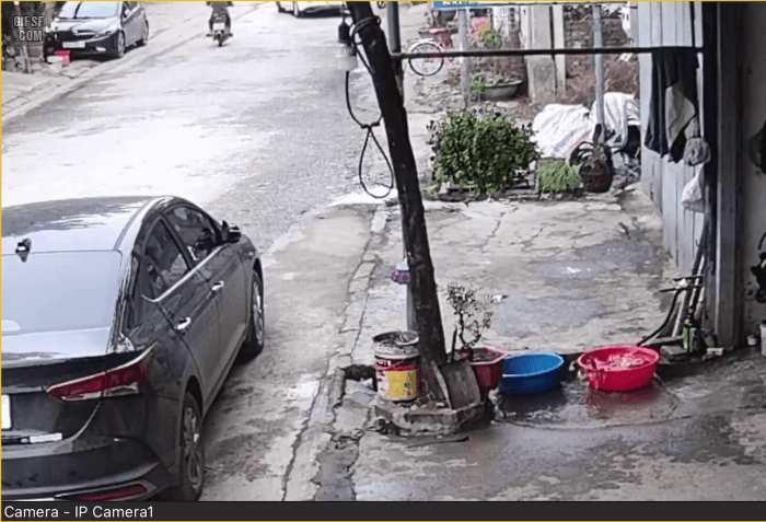 rodk1618411572_2074576872.gif