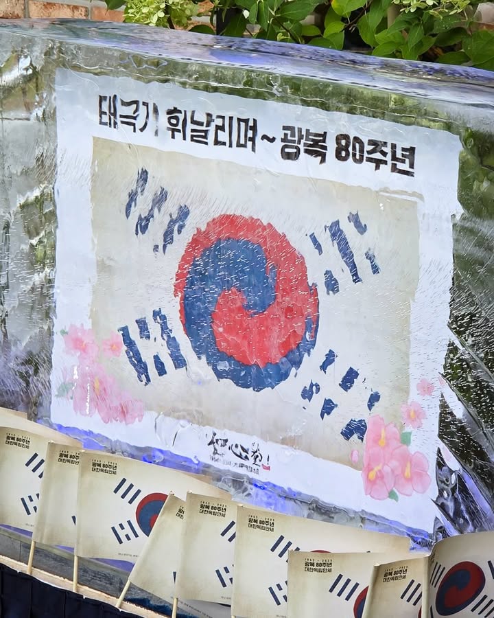 이미지를 불러오는데 실패했습니다.