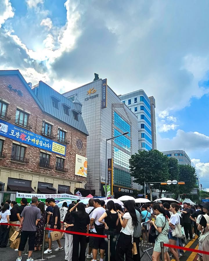 이미지를 불러오는데 실패했습니다.