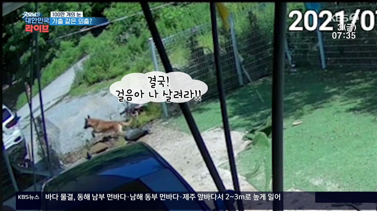 이미지를 불러오는데 실패했습니다.