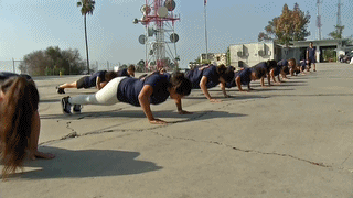i013703644969.gif