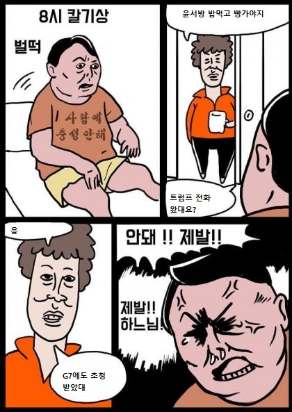 12313.jpg