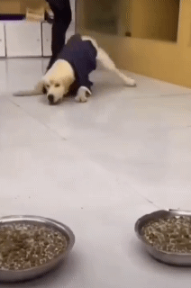 SmartSelect_20210329-203403_Instagram.gif