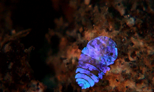 6d201081575291f02100b15b2f8bc923.gif