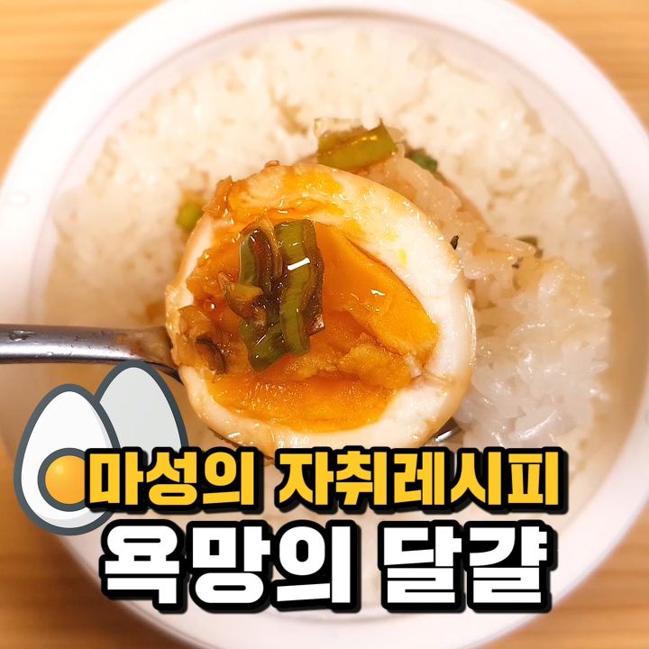 이미지를 불러오는데 실패했습니다.
