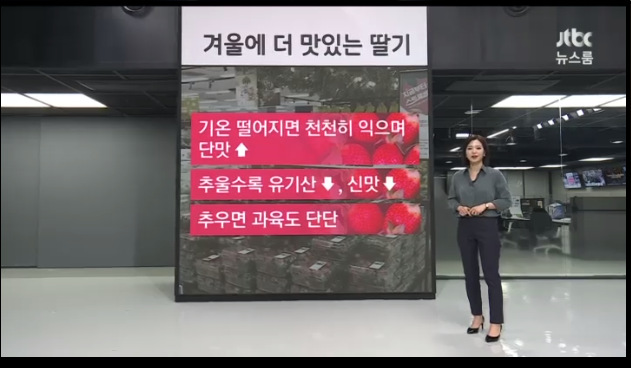 이미지를 불러오는데 실패했습니다.